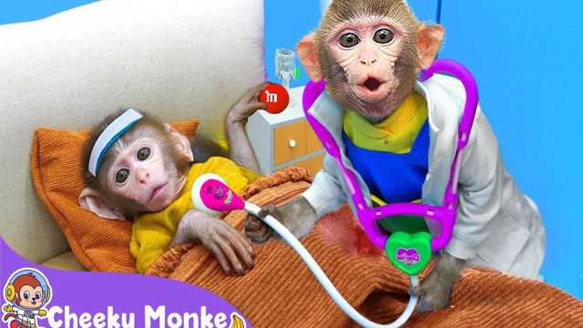 Playtime Video: Monkey KiKi helps a lot! img